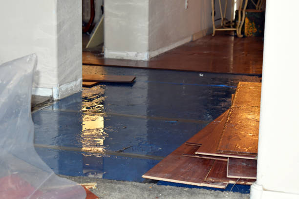 Professional Flood Damage Repair technician working in Hickory Corners, MI